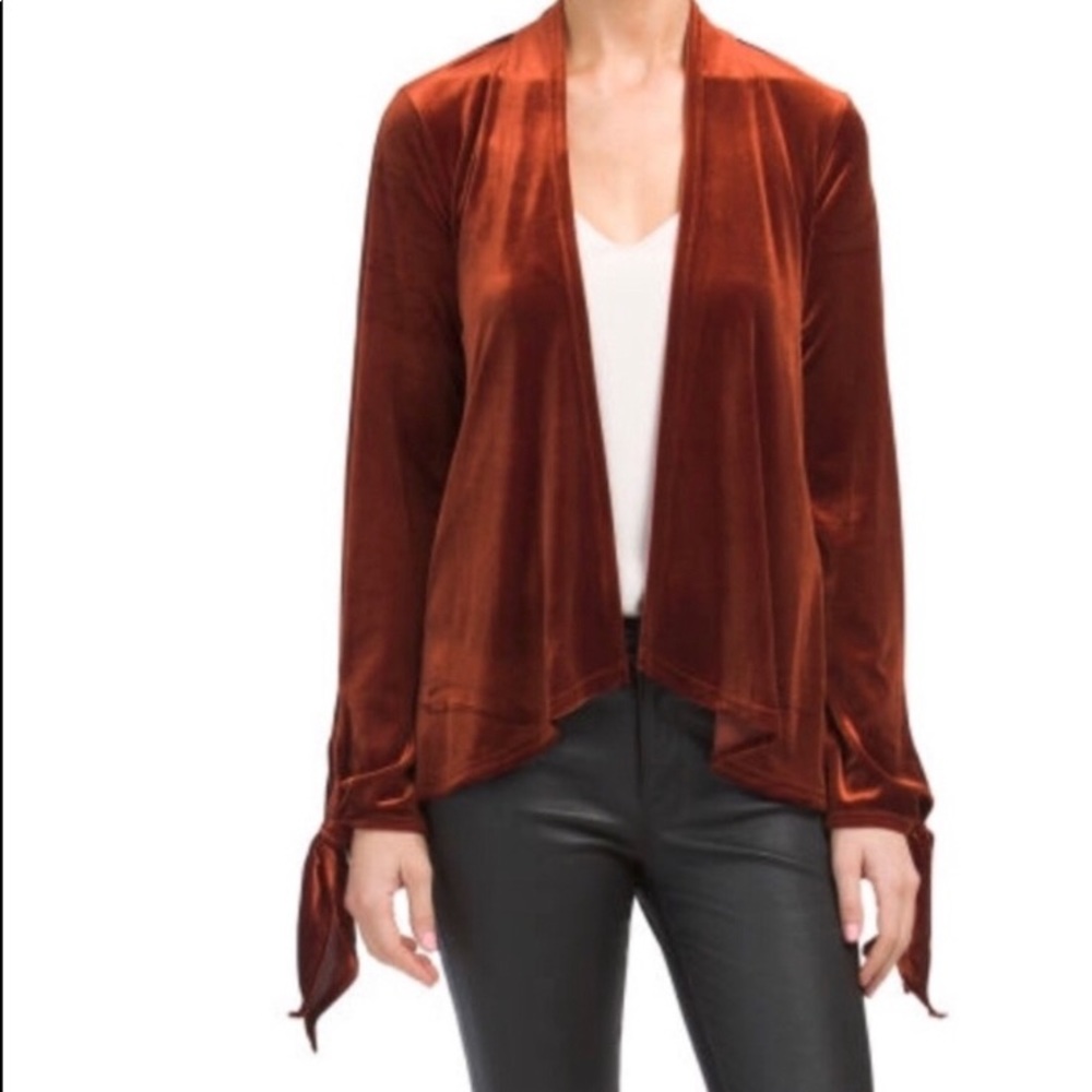 Anthropologie Black Velvet Cardigan